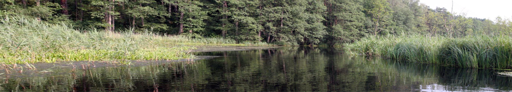 river