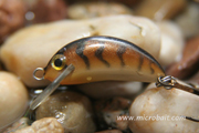 µFish Tiger Brown