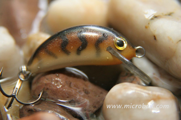 ufish orting wa ufish orting wa